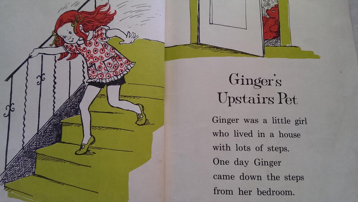 GingerUpstairsPetPic1