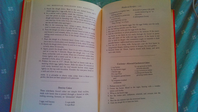 MedievalHolidaysDestinyCakes