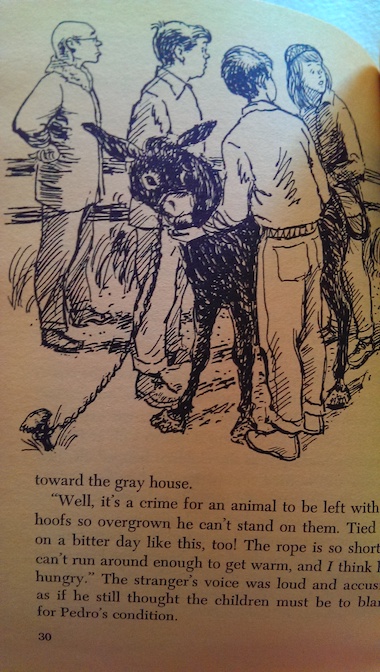 Nine Mile Marsh Pedro