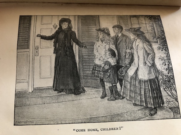 MotherCareysChickensHome