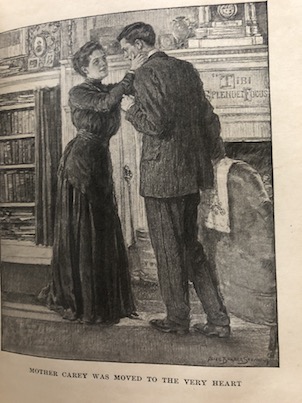 MotherCareysChickensLatin