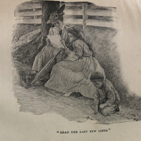 MotherCareysChickensLetter