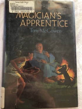 The Magicians Apprentice Trilogy – Jestress's Forgotten Books and Stories