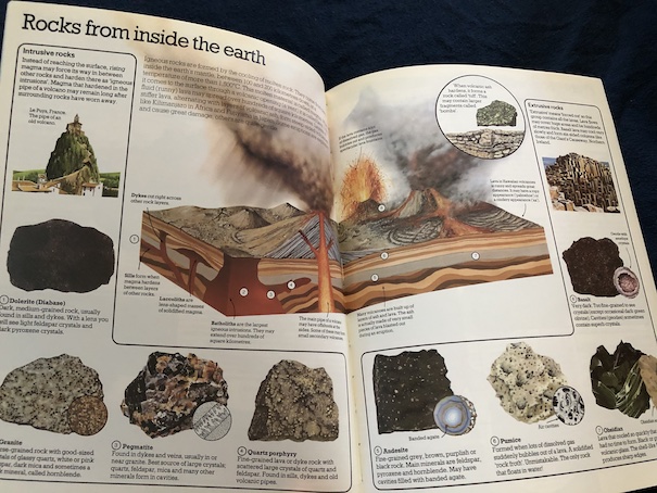 Understanding and Collecting Rocks and Fossils – Jestress's Forgotten ...