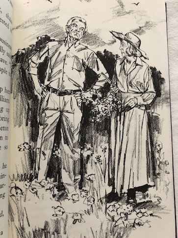 Boxcar Children Mystery at Skeleton Point neighbors